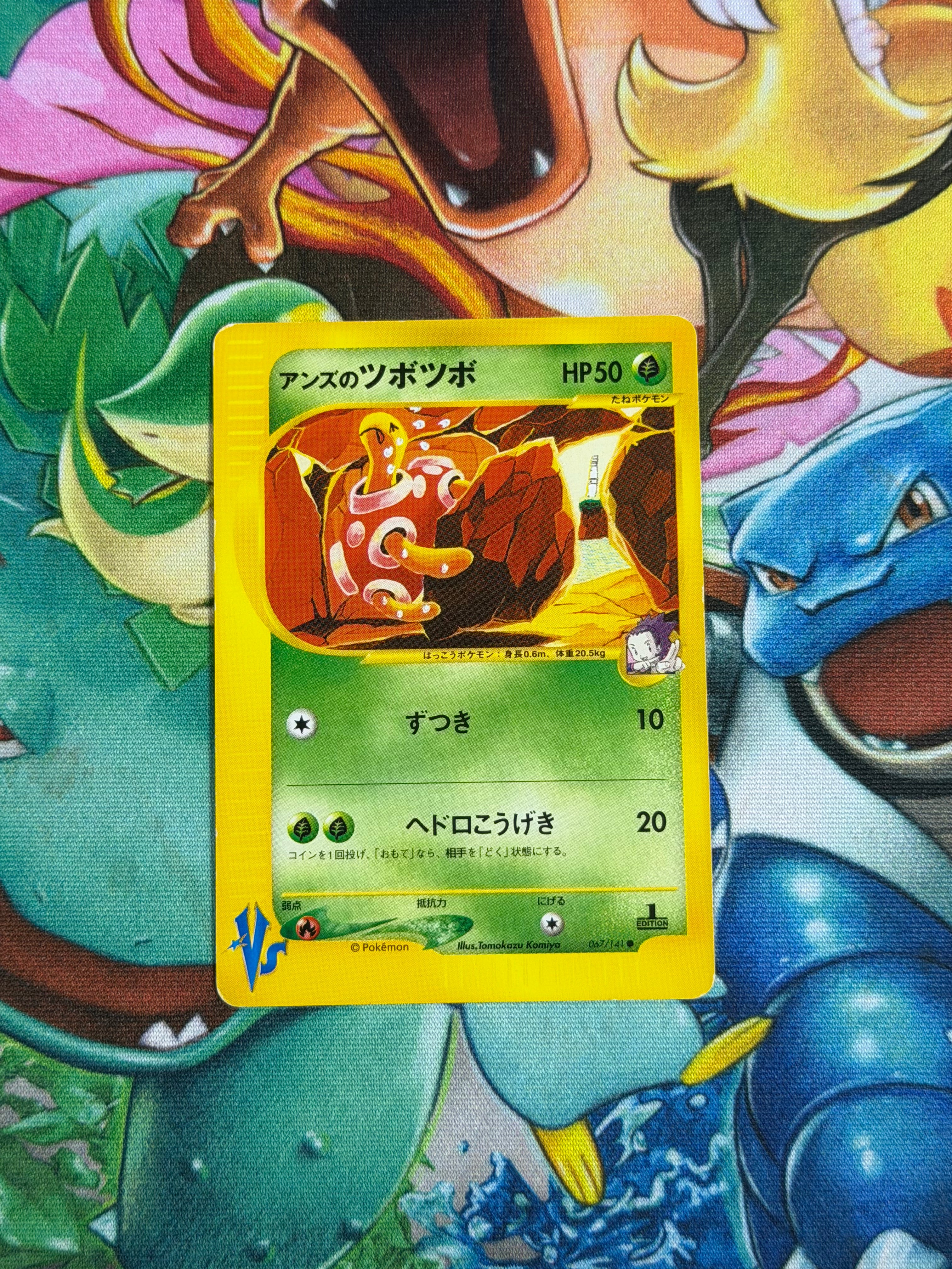 Janine's Shuckle - 067/141 - Common - VS