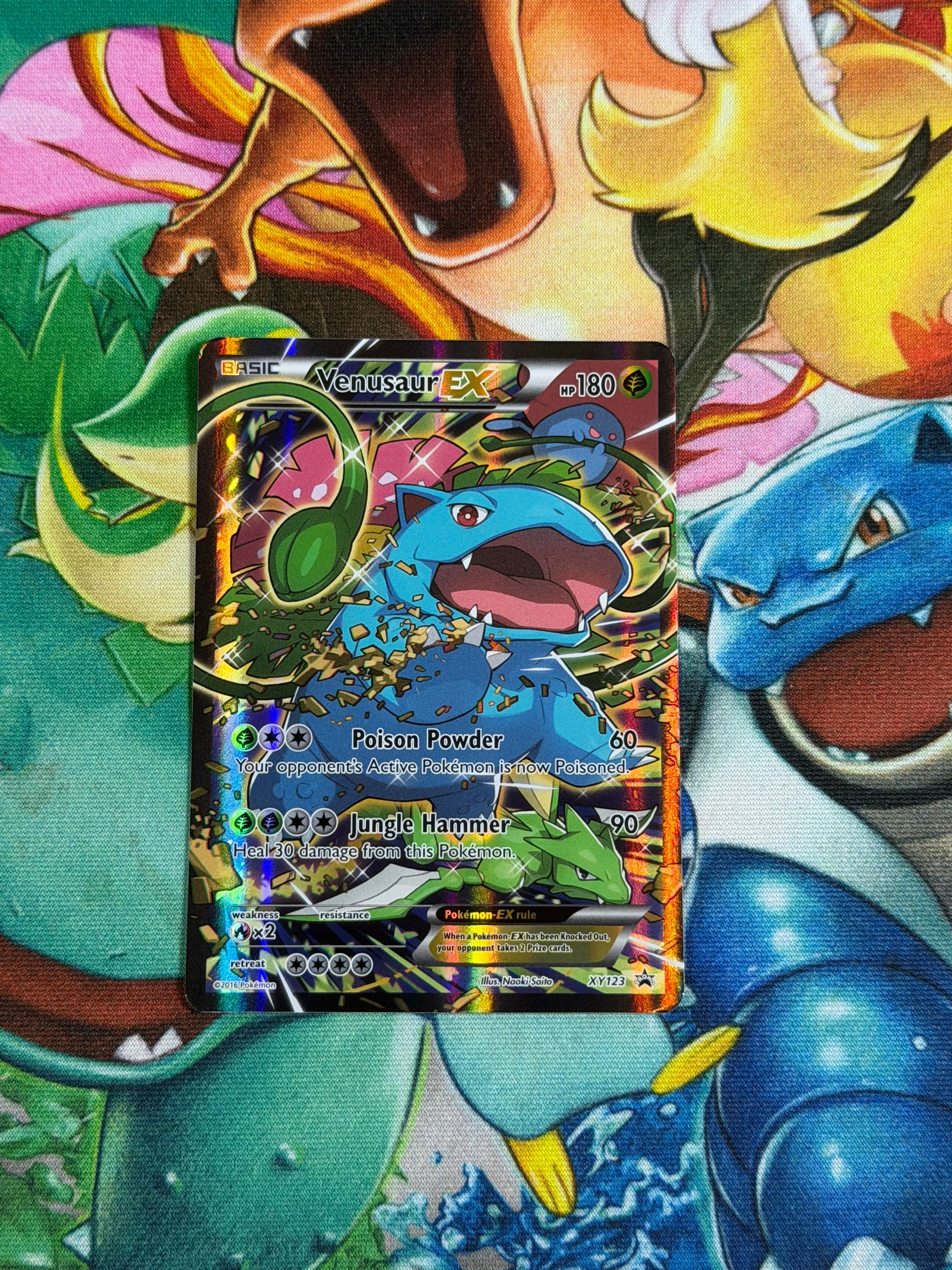 Venusaur EX - XY123 - Promo