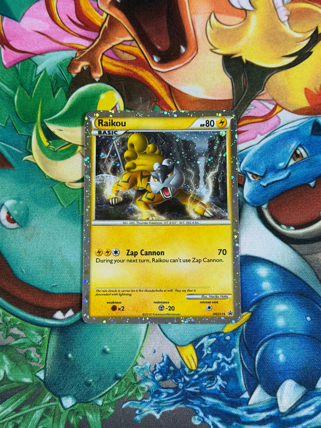 Raikou - HGSS19 - Promo